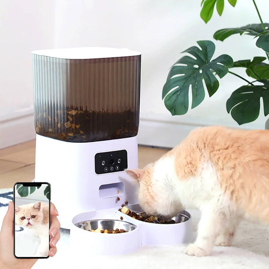 Freedom to Enjoy Life, Worry-Free Feeding!